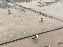 -星海广场