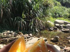 -梧桐山风景名胜区