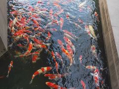 -万达广场(沈阳铁西店)