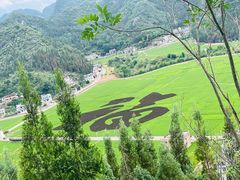 -万峰林风景区