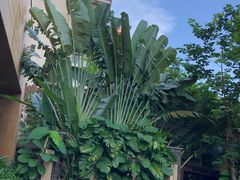 -三亚湾海居铂尔曼度假酒店