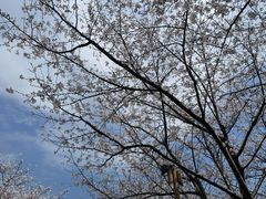 -长田漾湿地公园