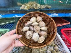 -坛南湾阿强农家乐.海鲜大排档老字号(福州地标美食店)