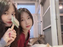 -Heymao猫咖.咖啡厅(东门店)