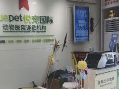 -悦宠动物医院(京丰分院)