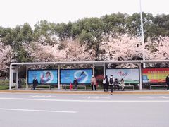 -华中科技大学光谷体育馆