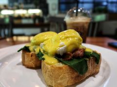 班尼迪克-JamaicaBlue(新城国际店)