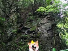 -藏龙百瀑风景区