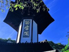 -上海佘山国家森林公园天马山园