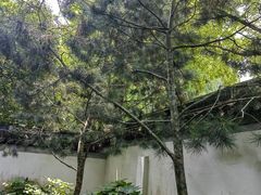 -秋霞圃
