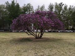 -辽宁大学(崇山校区)