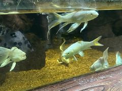 -太平洋海底世界