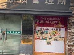 -紫金山山顶公园