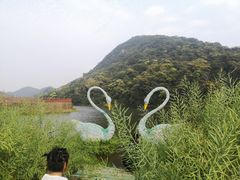 -广州市石门国家森林公园