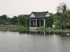 -映月湖公园