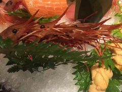 -初花·日本料理