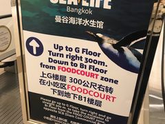 -暹罗海洋世界