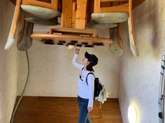 -金山农民画村-枫泾波兰倒置屋