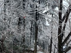 -永州阳明山国家森林公园
