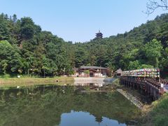 -酒仙湖景区