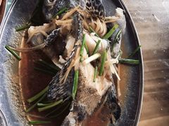 -四川人郑霞海鲜