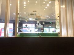 -麦当劳(台州路桥DT店)