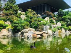-南宁荔园维景国际酒店·荔园中餐厅