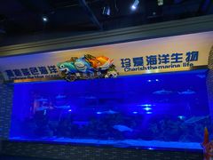 -成都浩海立方海洋公园