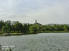 -北坞公园
