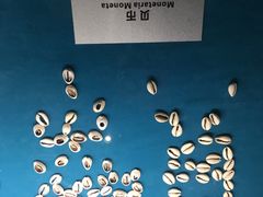-青岛贝壳博物馆