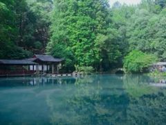 -灵栖洞天