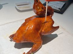 -侨美食家·41年地道粤菜(恒福路店)
