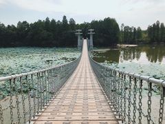 -东湖落雁景区