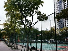 -光明港公园