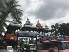 -东芭乐园