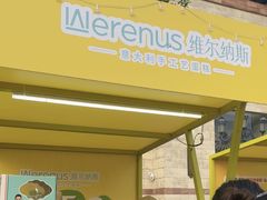 -维尔纳斯·生日蛋糕动物奶油冰淇淋蛋糕(人大店)