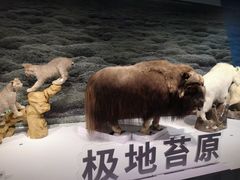 -中国湿地博物馆