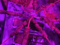 -唱吧麦颂KTV(萧山加州阳光广场店)