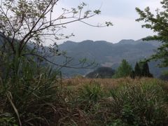 iphone_upload_pic-公盂村
