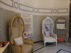 -同芙舍予专业健康美容