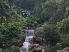 -广州市帽峰山景区