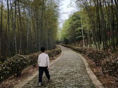 -游子山休闲旅游区