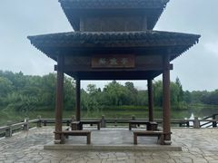 -苏州太湖国家湿地公园