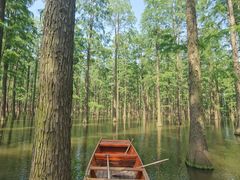 -渌洋湖湿地公园