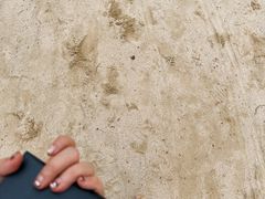 -Co+Nut+Ink(圣淘沙店)