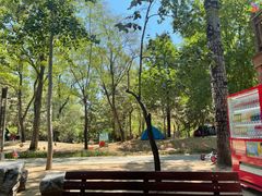 -南宫五洲植物乐园