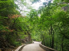 -北京上方山国家森林公园