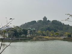-王借岗森林公园