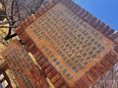 -金龙寺国家森林公园