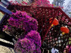 -东莞市可园博物馆